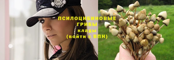 не бодяженный Гусев