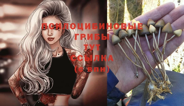 гашишное масло Гусь-Хрустальный