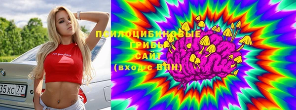 ALPHA PVP Гусиноозёрск