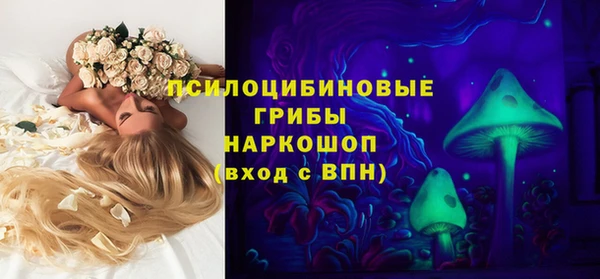 не бодяженный Гусев