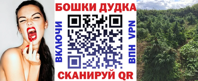 хочу   Вятские Поляны  Шишки марихуана AK-47 